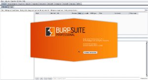 Burp Suite Failed To Start Proxy Service